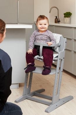 Детский деревянный стульчик для кормления BabyDan Danchair Grey
