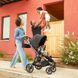 Универсальная коляска 2 в 1 Baby jogger City Sights Rich Black
