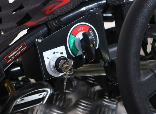 Электромобиль Ramiz Gokart Fast Dragon Black