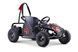 Электромобиль Ramiz Gokart Fast Dragon Black