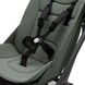 Прогулочная коляска Bugaboo Butterfly, black/black forest green черное шасси/зеленый текстиль