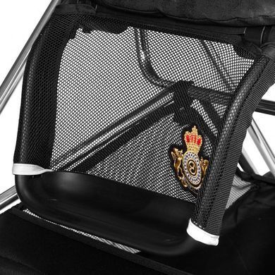 Коляска 2 в 1 Cybex Mios Rebellious multicolor / Matt Black