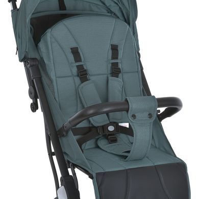 Коляска дитяча BAMBI FLASH Pine Green