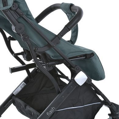 Коляска дитяча BAMBI FLASH Pine Green