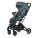 Коляска дитяча BAMBI FLASH Pine Green