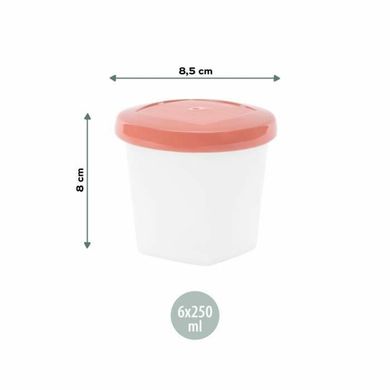 Babymoov Набір контейнерів для їжі Biosourced 250ml (x6)