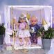 Набір одягу для ляльки BABY BORN серії "День Народження" - ДЕЛЮКС (на 43 cm)