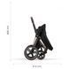 Коляска 2 в 1 Cybex Priam 4.0 Autumn Gold / Matt Black