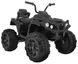 Ramiz квадроцикл Quad ATV Black