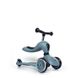 Самокат 2 в 1 Scoot & Ride Highwaykick 1 Steel