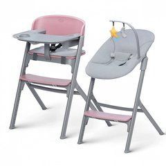 Стільчик для годування із шезлонгом Kinderkraft Livy Calmee Aster Pink (KHLICA00PNK0000)