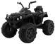 Ramiz квадроцикл Quad ATV Black