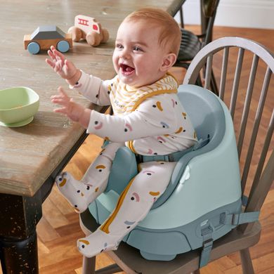 Детский стульчик-бустер Mamas&Papas Baby Bug Bluebell