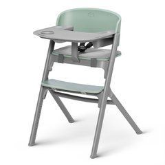 Стільчик для годування Kinderkraft Livy Olive Green (KHLIVY00GRE0000)