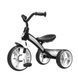 Триколісний дитячий велосипед Qplay ELITE Black