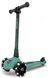 Самокат Scoot&ride Highwaykick 3 LED Forest