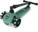 Самокат Scoot&ride Highwaykick 3 LED Forest