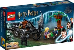 Конструктор LEGO Harry Potter Hogwarts Carriage and Thestrals